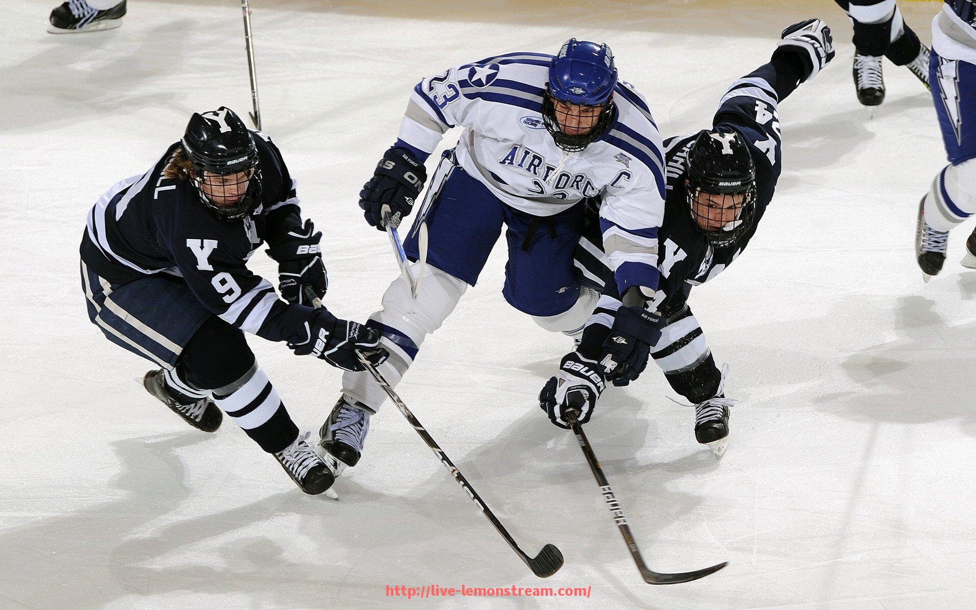 柠檬体育直播-力健健身器材官网功能介绍及在线购买流程