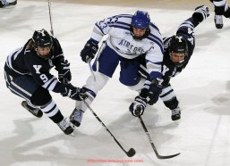 柠檬体育直播-力健健身器材官网功能介绍及在线购买流程