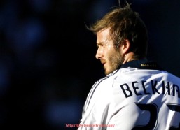 柠檬体育直播-火箭队当前赛季场均数据和球员表现排名