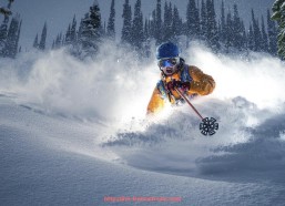 柠檬体育直播-商用健身器材与家用健身器材有何区别，选购需注意哪些方面？（商用健身器材10大品牌）